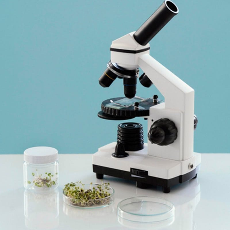 Microscope